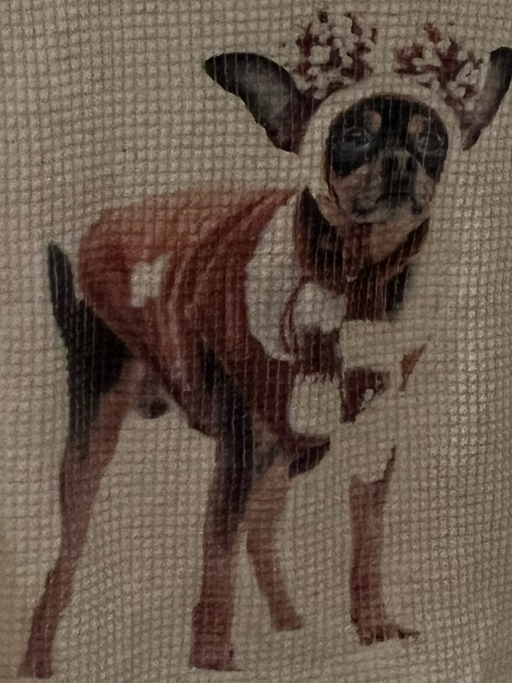 Offline by Aerie Cream Waffle-Knit Tank with Dog Graphic - Picture 4 of 4